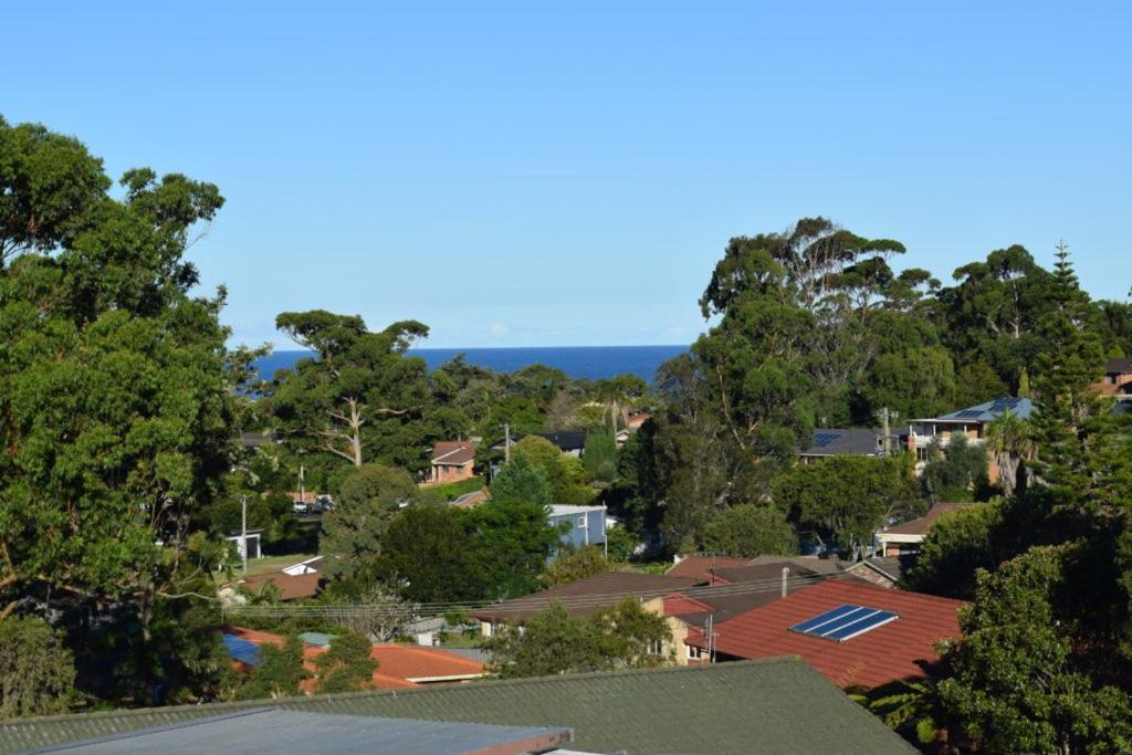Mollymook Caravan Park Екстер'єр фото