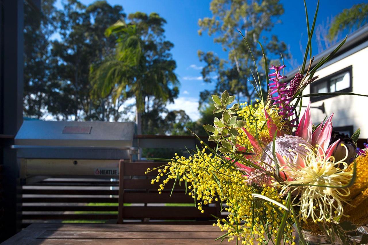 Mollymook Caravan Park Екстер'єр фото